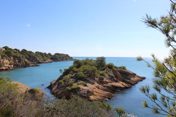 Casita De Pescadores Con Vista Al Puerto Apartamento L'Ametlla de Mar Exterior foto